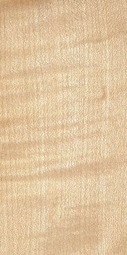 イタヤカエデ柾目