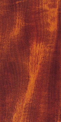 トチノキブラウン塗装