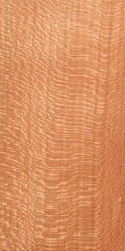 ヤマザクラ柾目